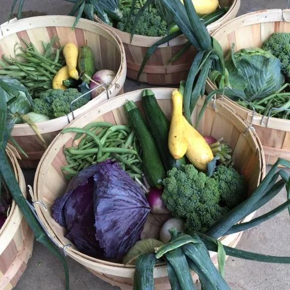 Veggies.jpg