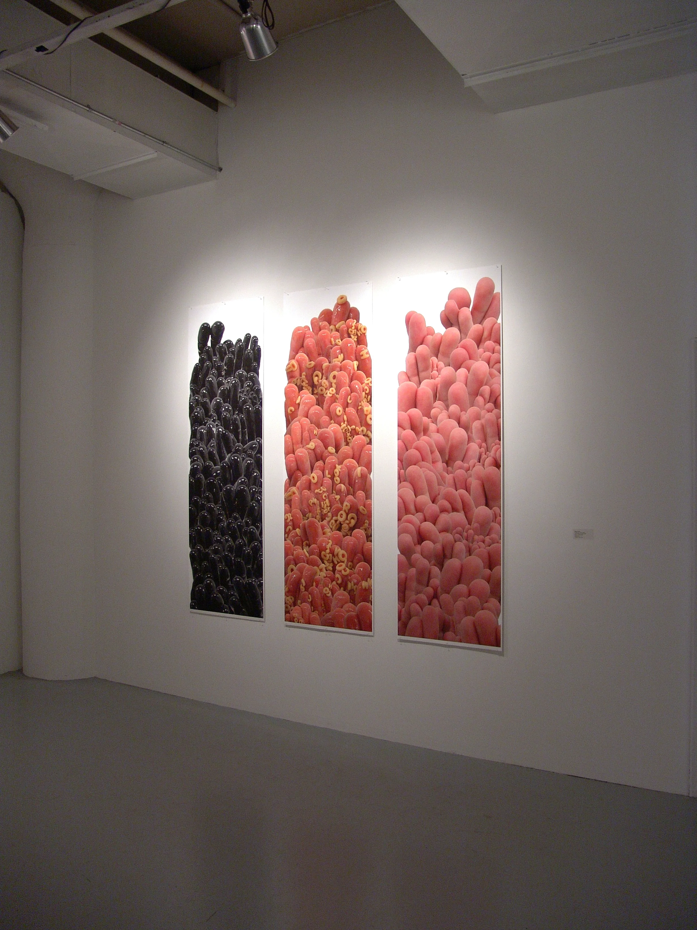 Fingers Series
