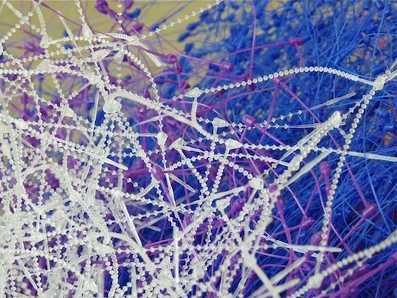 Carly Snoswell - Fastening Pins.jpg