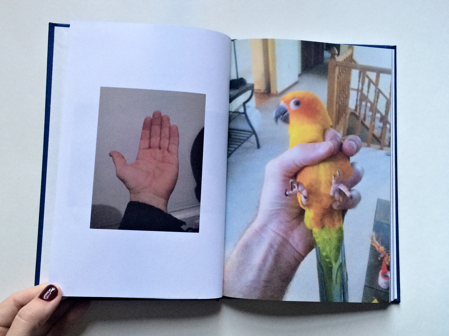 Stranger Hands. Excerpt. Hardcover book, 6x9 inches. 2015.jpg