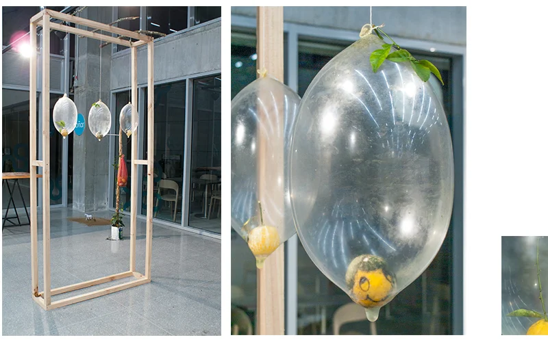 Nirvana doesn’t Smell Like Teen Spirit , 2017, architectural reference pertinent to the space in which the work is presented, condoms, leaves, Mystic brand condom wrapping, locally sourced fruit, permanent marker, string, wood.