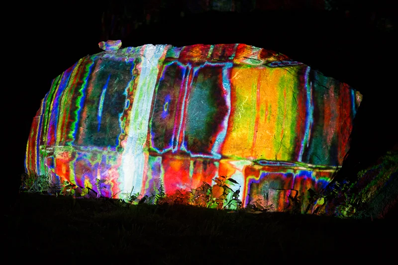 Kettle Scarab 2018 HD video projection installation view
