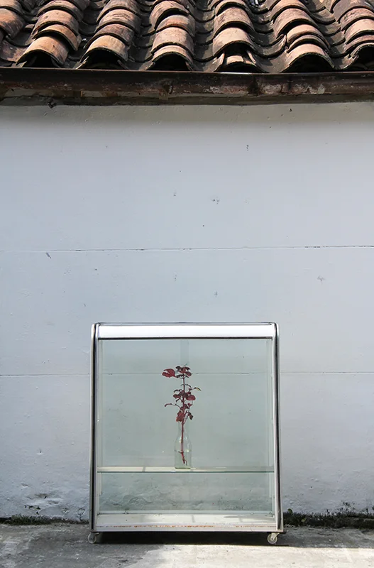 MEDELLIN, Digital Photography, 40 x 31 inches, each. 2014