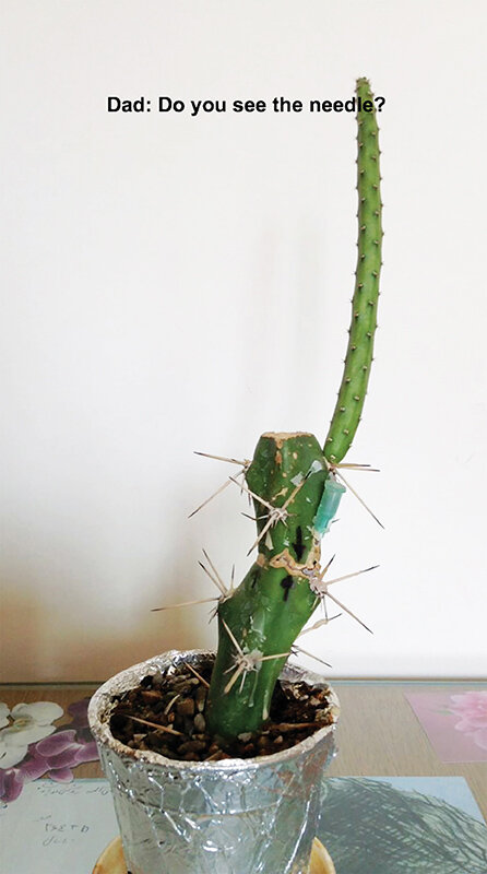 Kindred Stitches (detail:video still), 2019, Right monitor: the sick cactus with sound and English subtitles, on loop, duration: 00:05:58