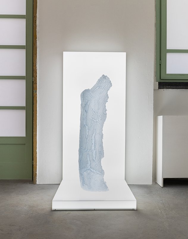   CORTEX,  2019, stereolithography 3D, light box, 59 x 27.5 x 31.5 inches, photo by Agnese Bedini and Melania Dalle Grave for DSL Studio 