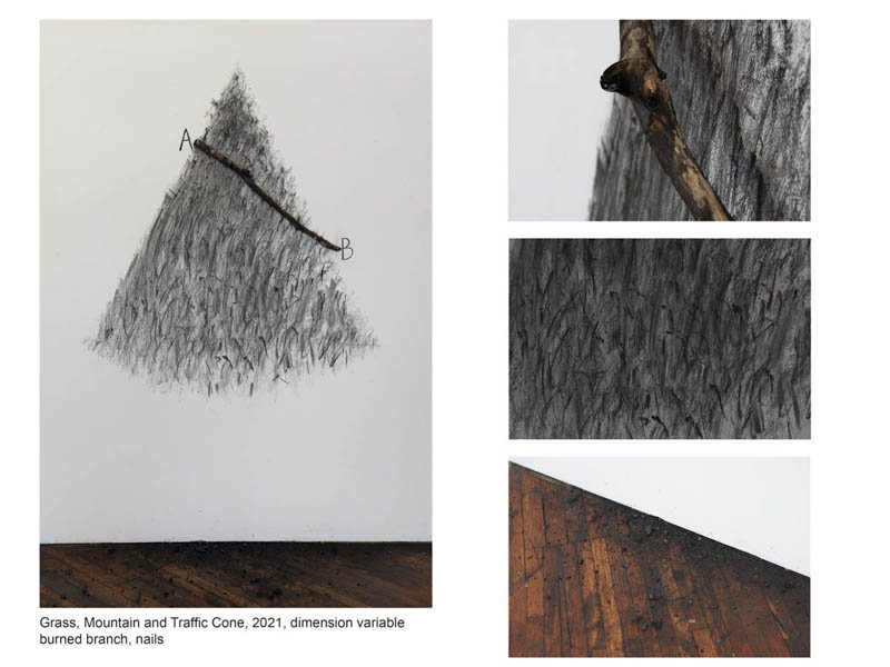 Grass, Mountain and Traffic Cone, 2021, dimension variable burned branches, nails