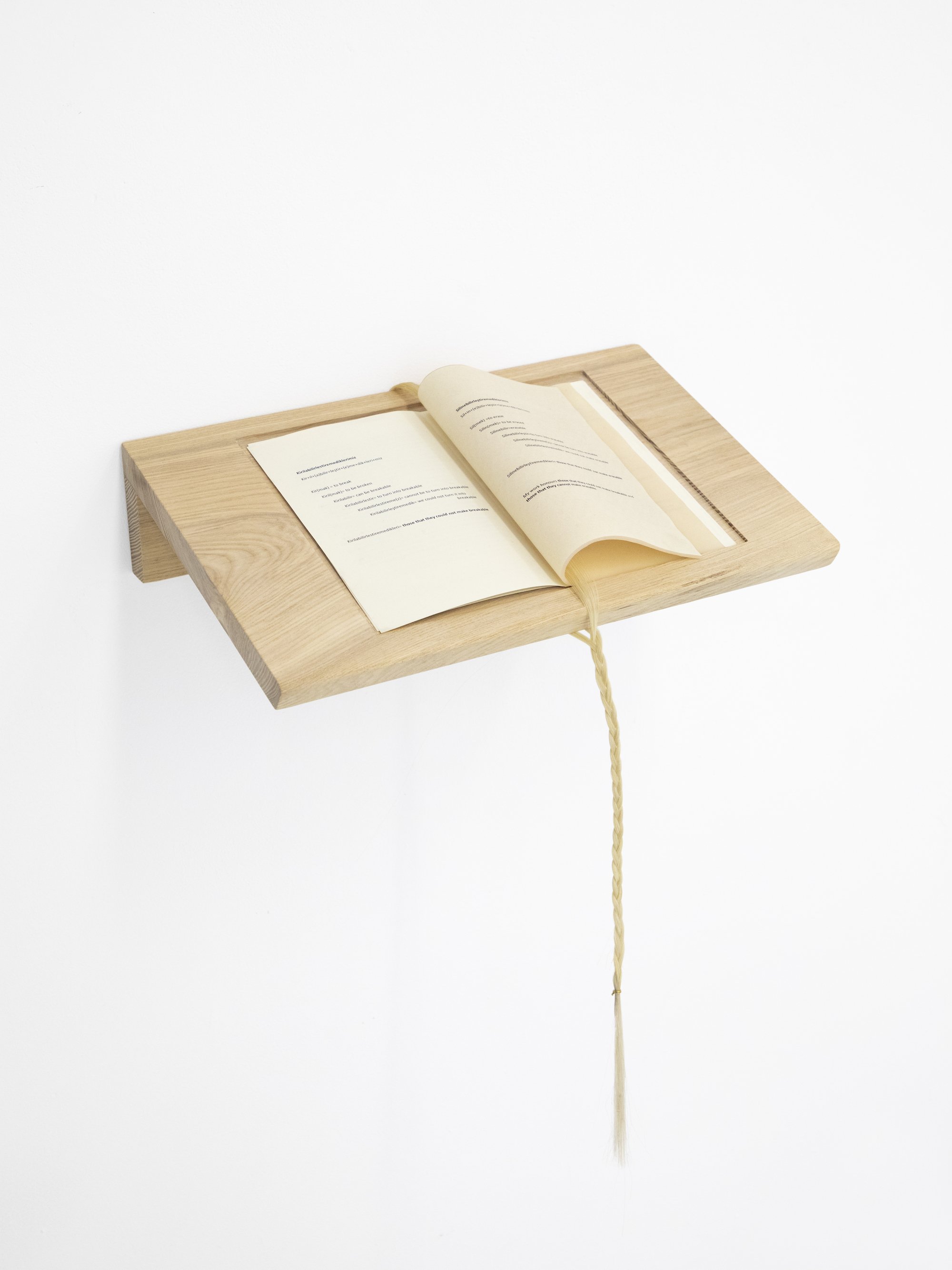   Guestbook  , 2019, Silicone, paper, text 16” W x 11” H, Courtesy of the artist 