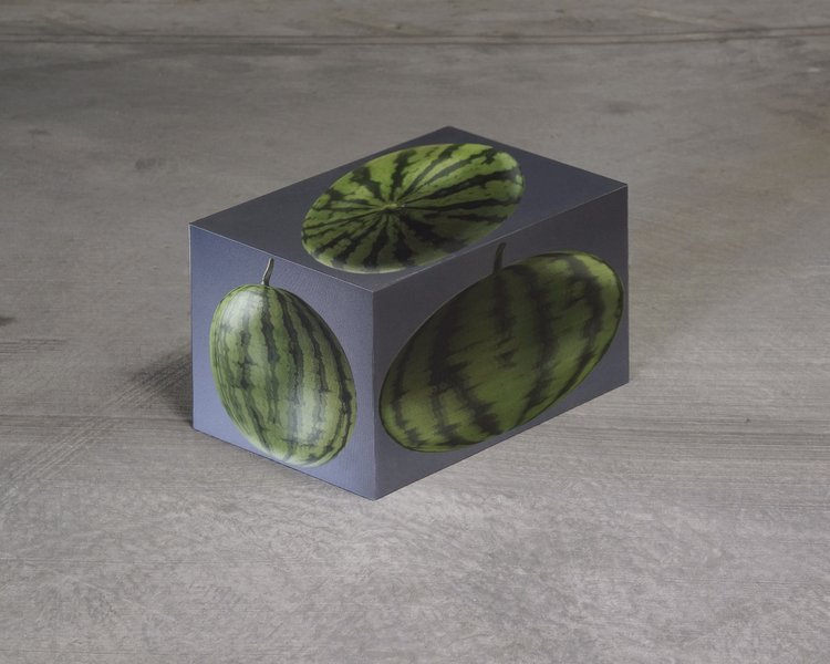   Third Melon,  2021, lenticular prints, wood, 20'' x 20'' x 30'' 