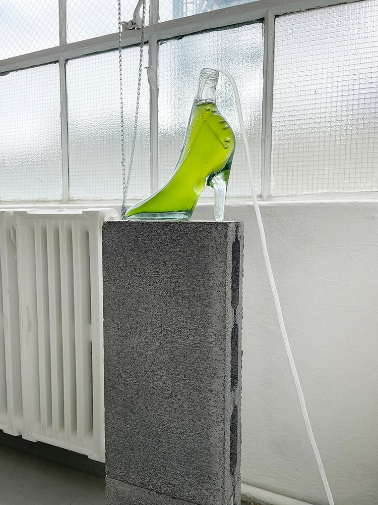 High Heel Algae Bioreactor, 2022