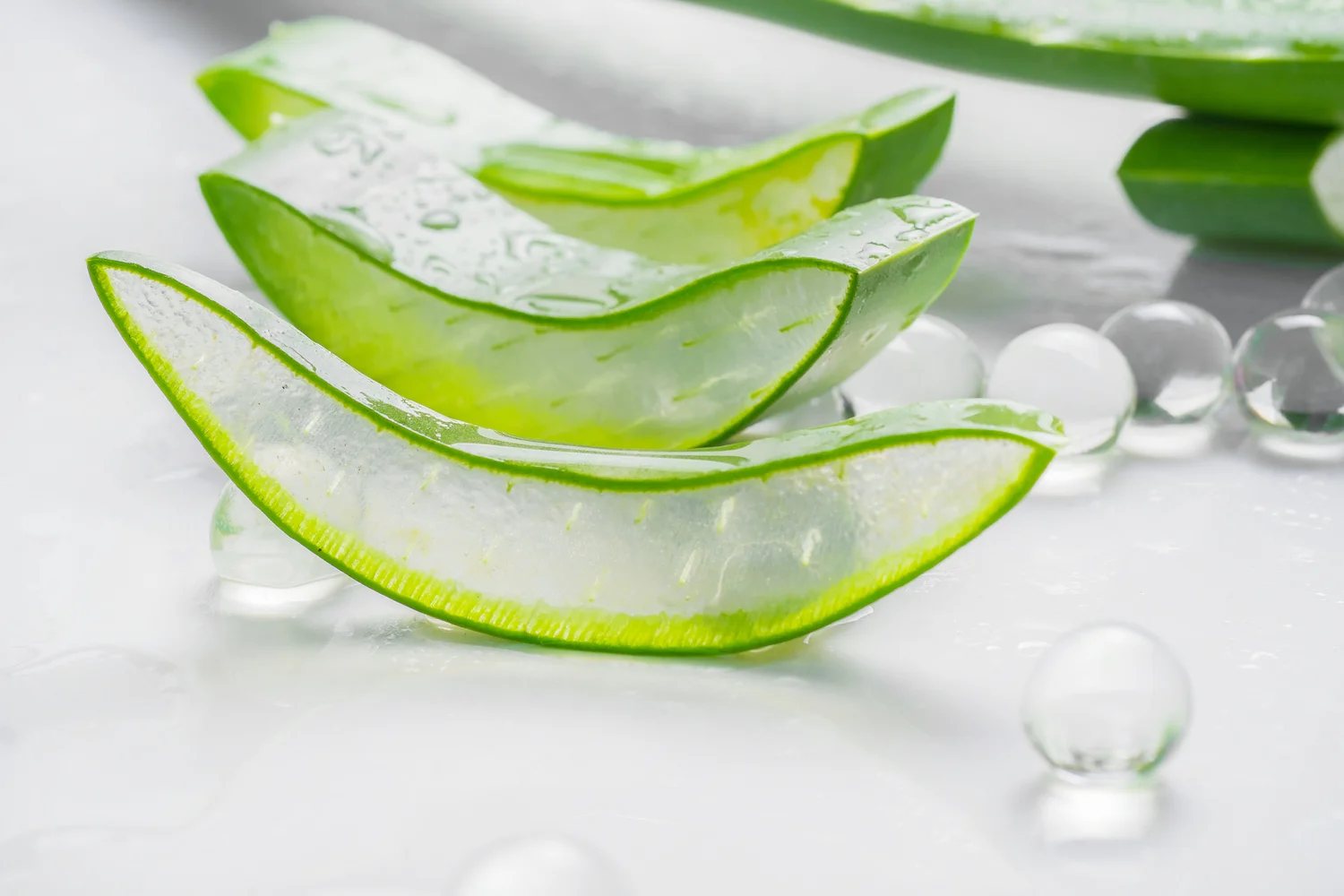 aloe vera blue Aloe Blue Elf main image 1