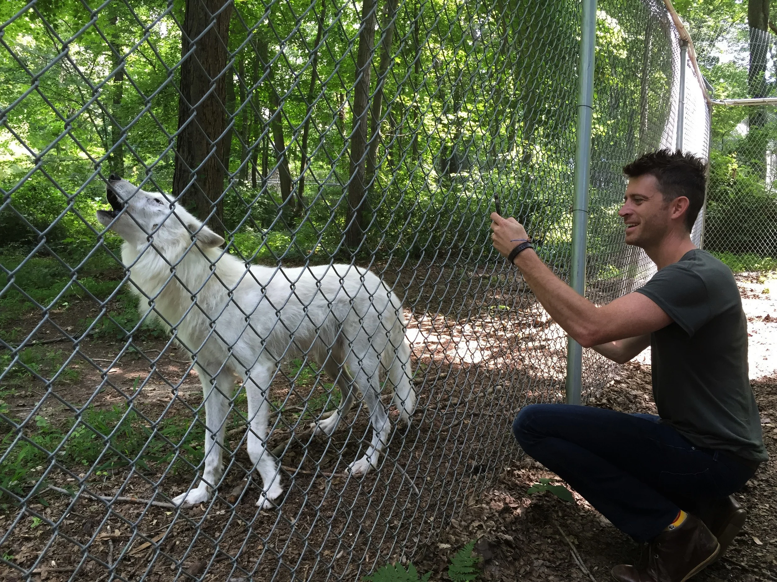 Brendan meets Atka at the Wolf Conservation Center, South Salem, NY