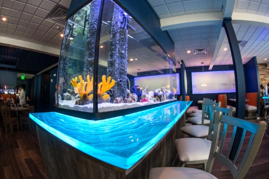 Restaurant Designer LED Aquarium Surround