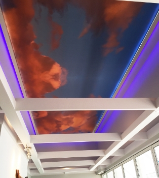 Restaurant Designer LED Ceiling Mural