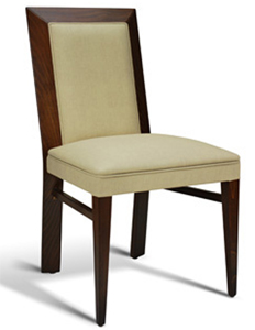 Elite Designer Dining Chair