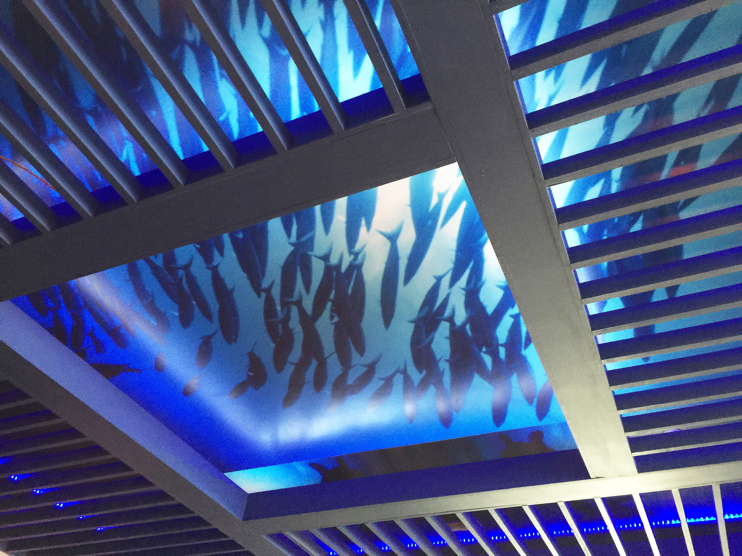 UNDERWATER ARBOR CEILING TREATMENT WITH BLACK LIGHT