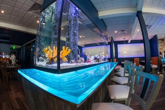 Restaurant Aquarium Design