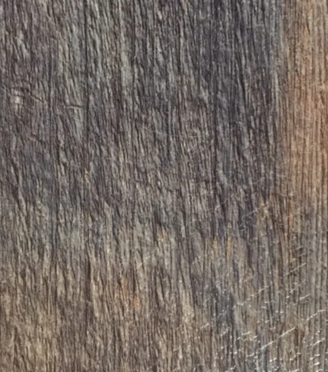 image1.jpg