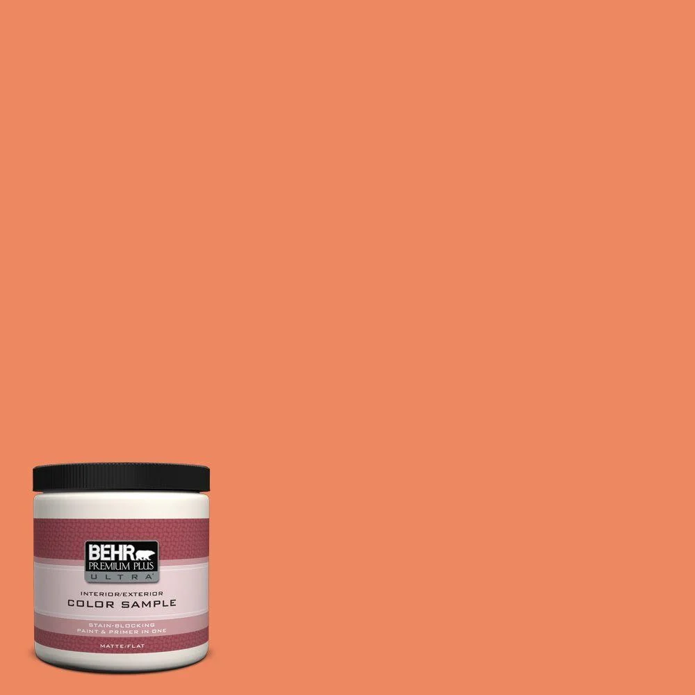 BEHR ORIOLES LEFT WALL &amp; VESTIBULE