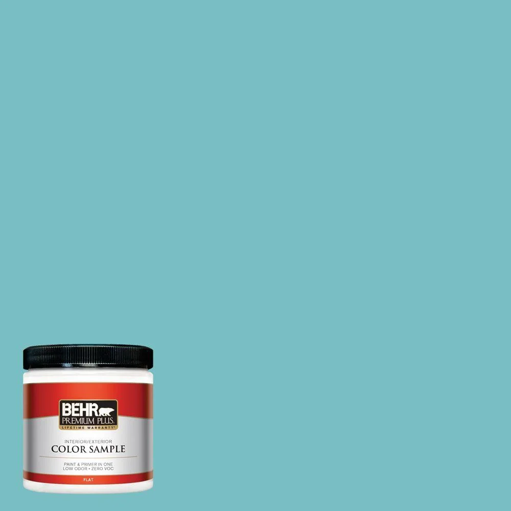 MENS ROOM - BEHR PURE TURQUOISE