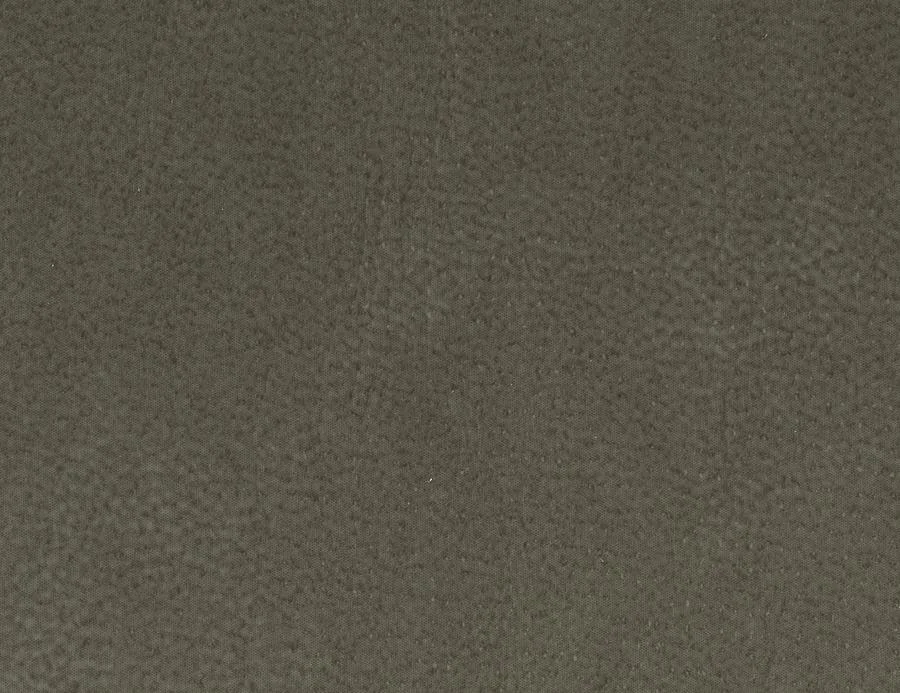 EP-83-Gray.jpg