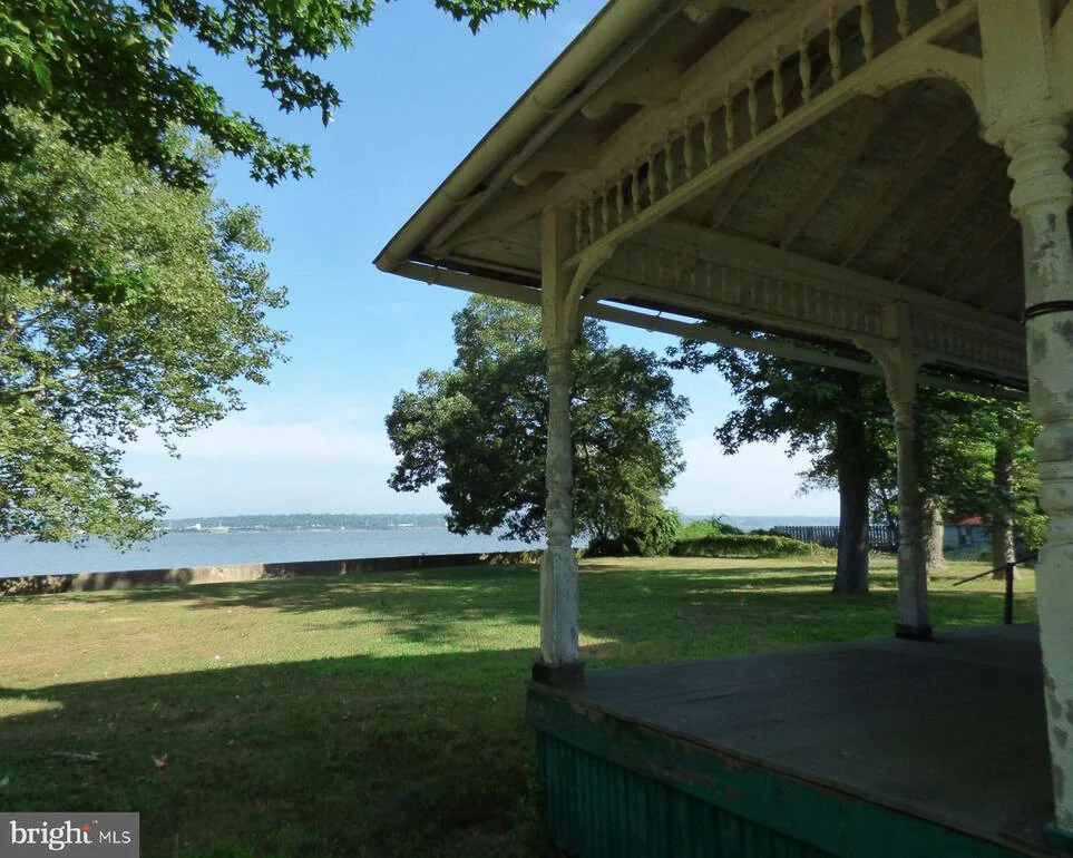 BACK YARD.jpg
