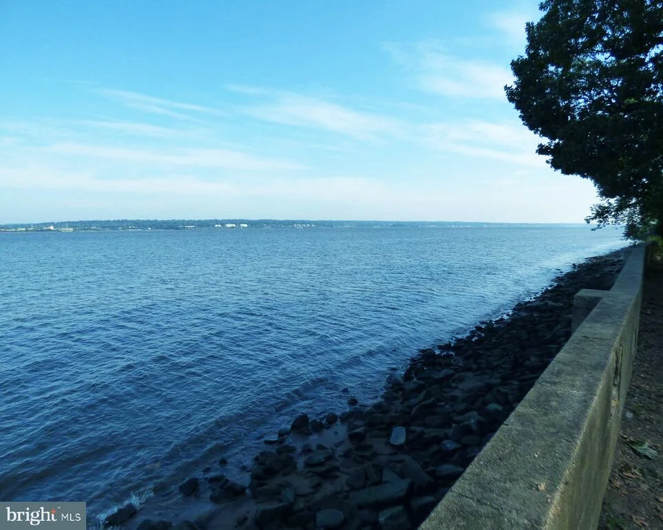 view 2.jpg