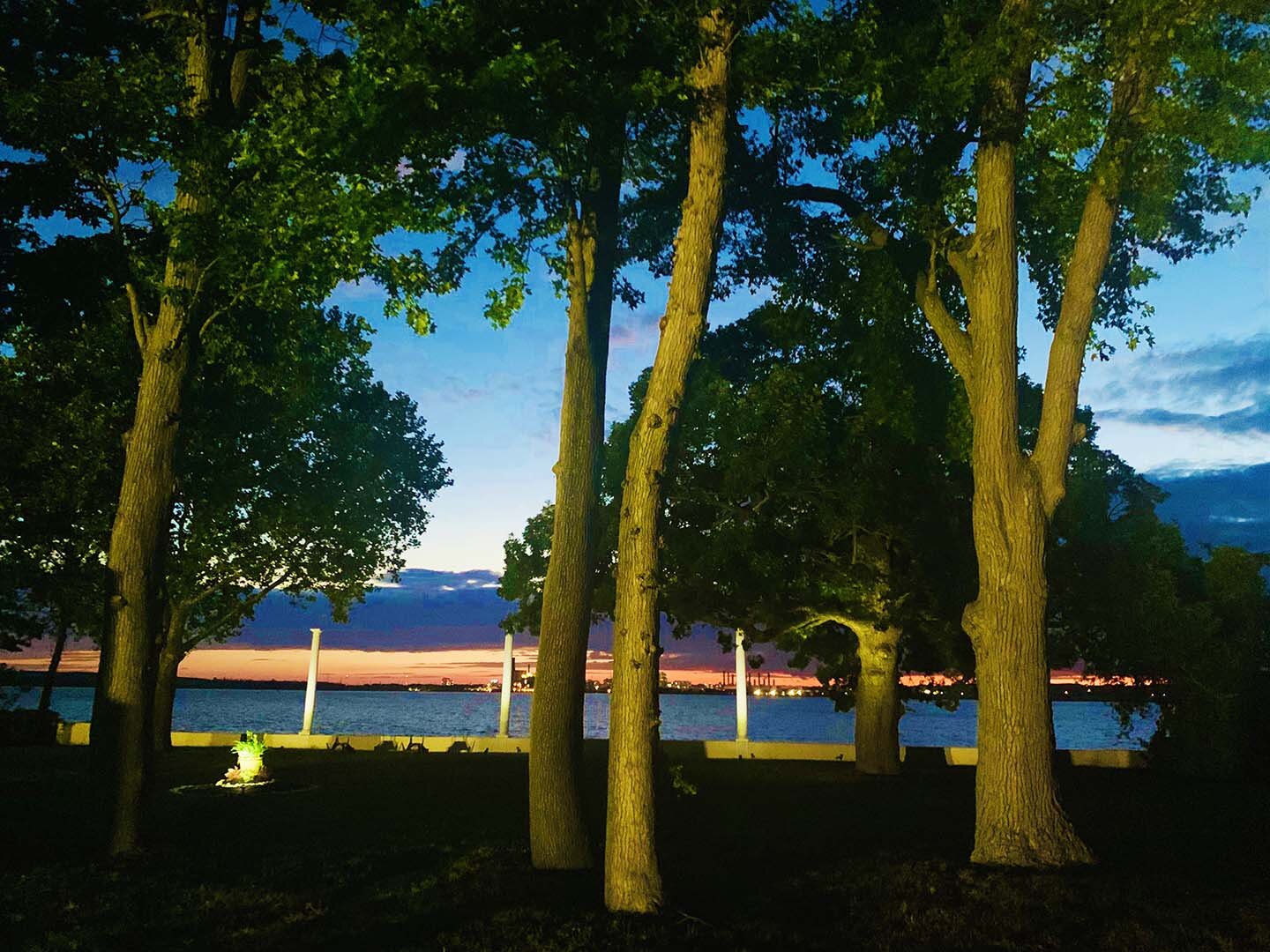 Towering Trees at Raymond Haldeman's Estate (Copy)