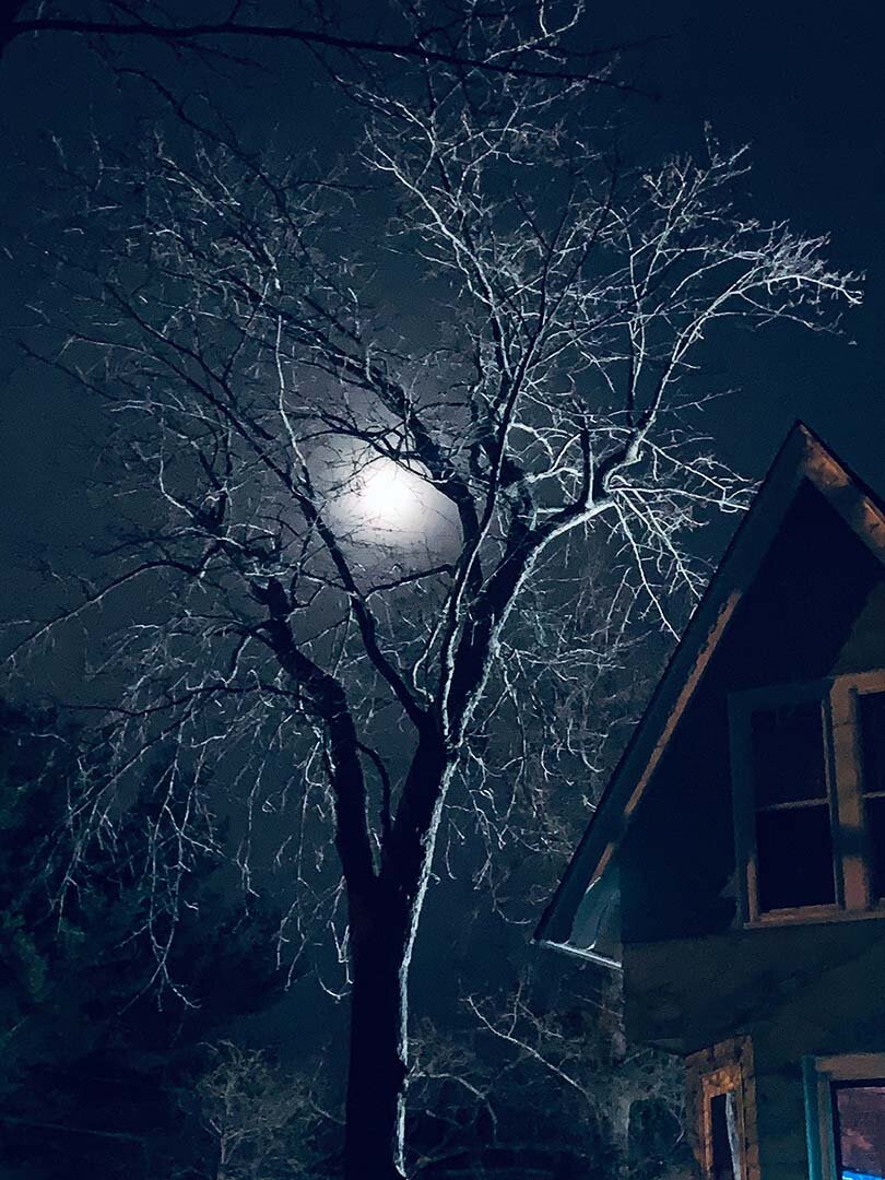 Moon at Raymond Haldeman Estate