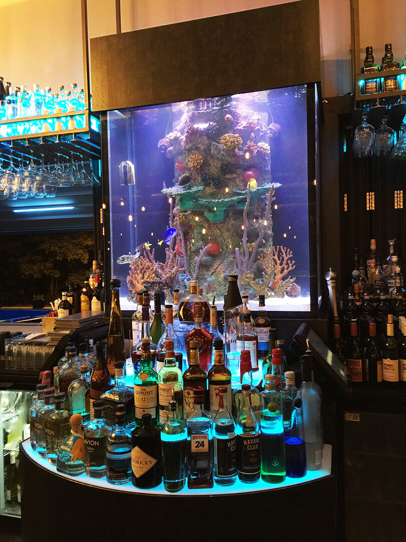 aquarium bar design