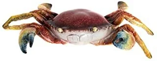 image.jpeg
