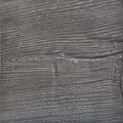 WINTER ASH