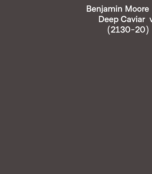 BM Deep Caviar 2130-20