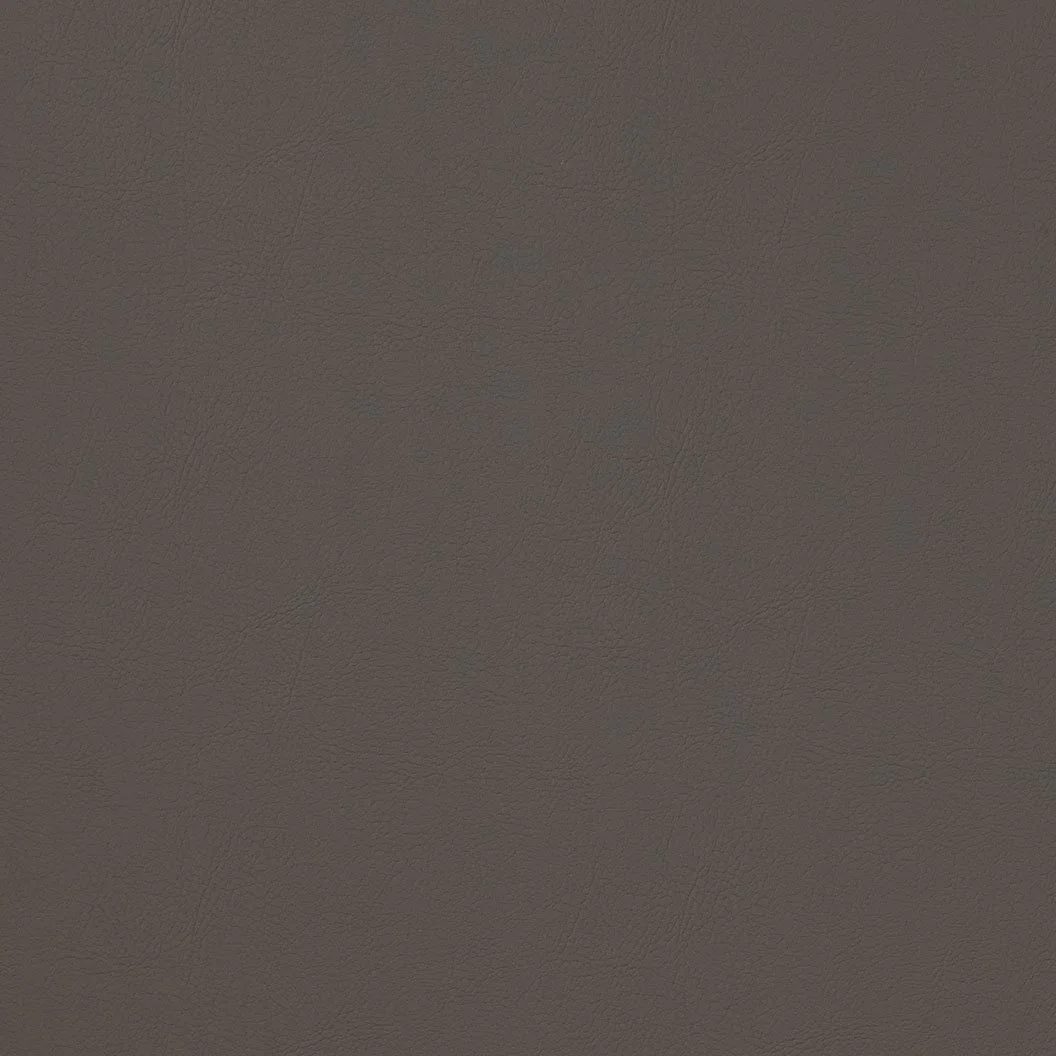 Natural Light - Alamo - ALM29.jpg