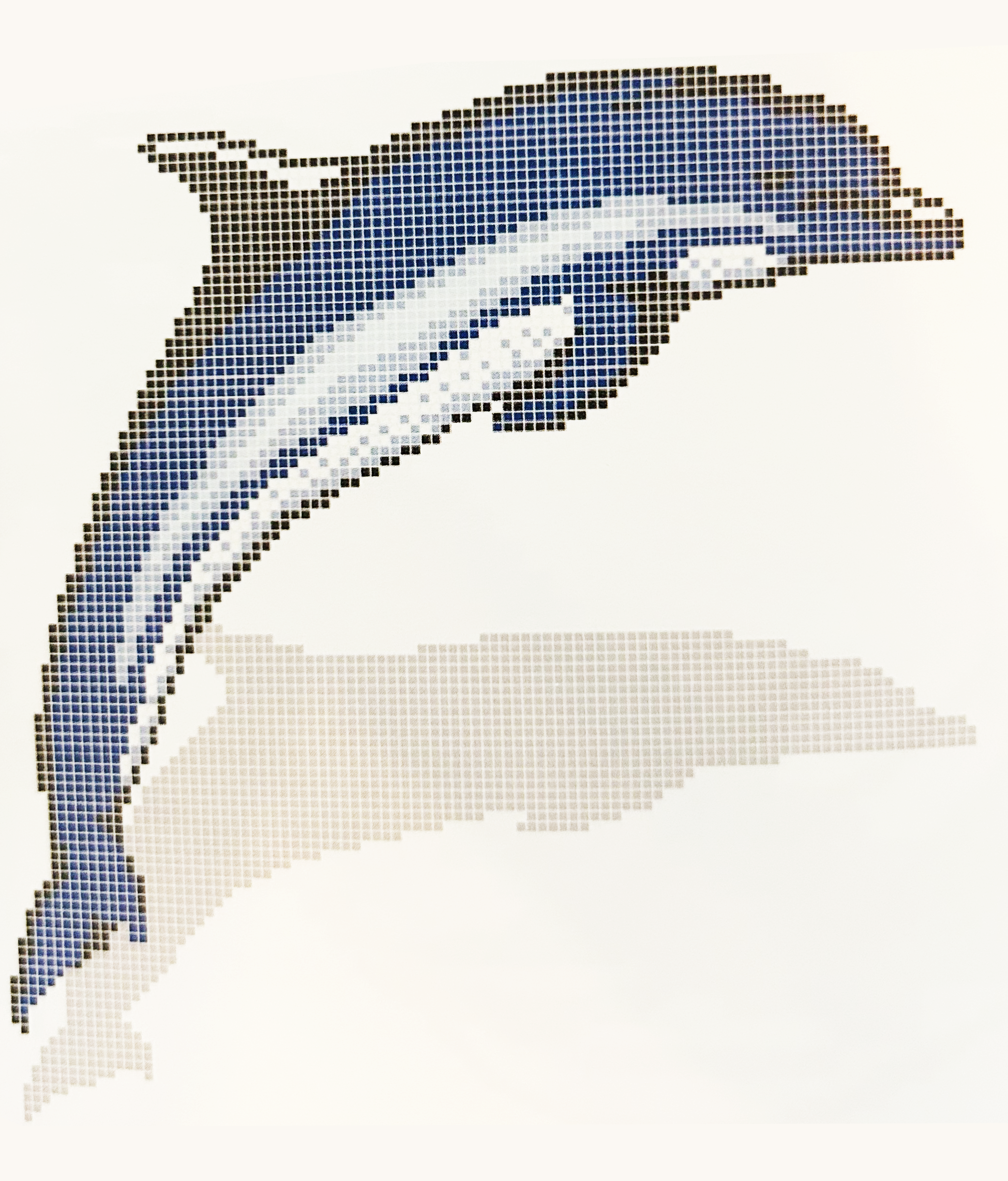 dolphin.png