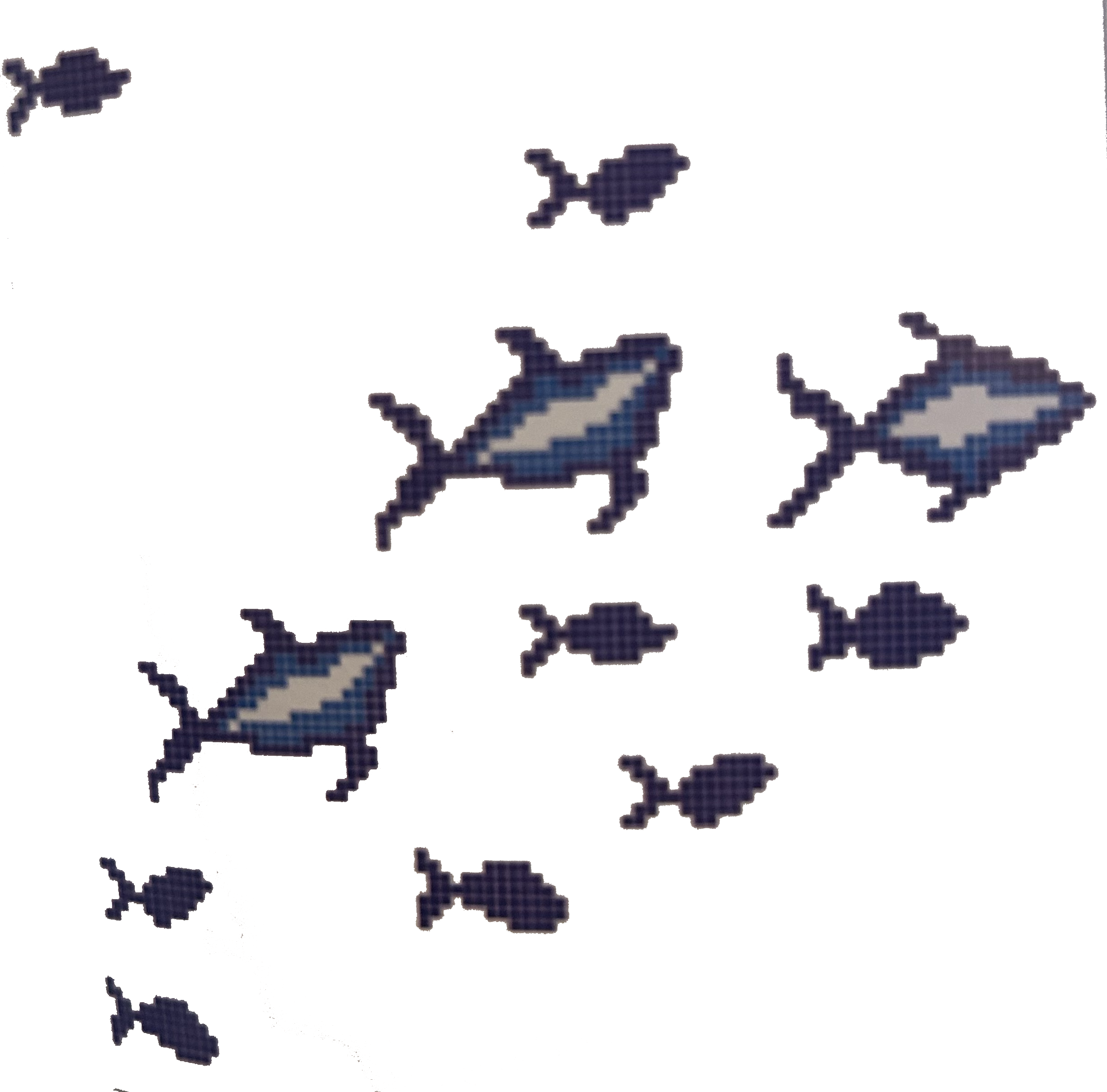 FISH 2.png
