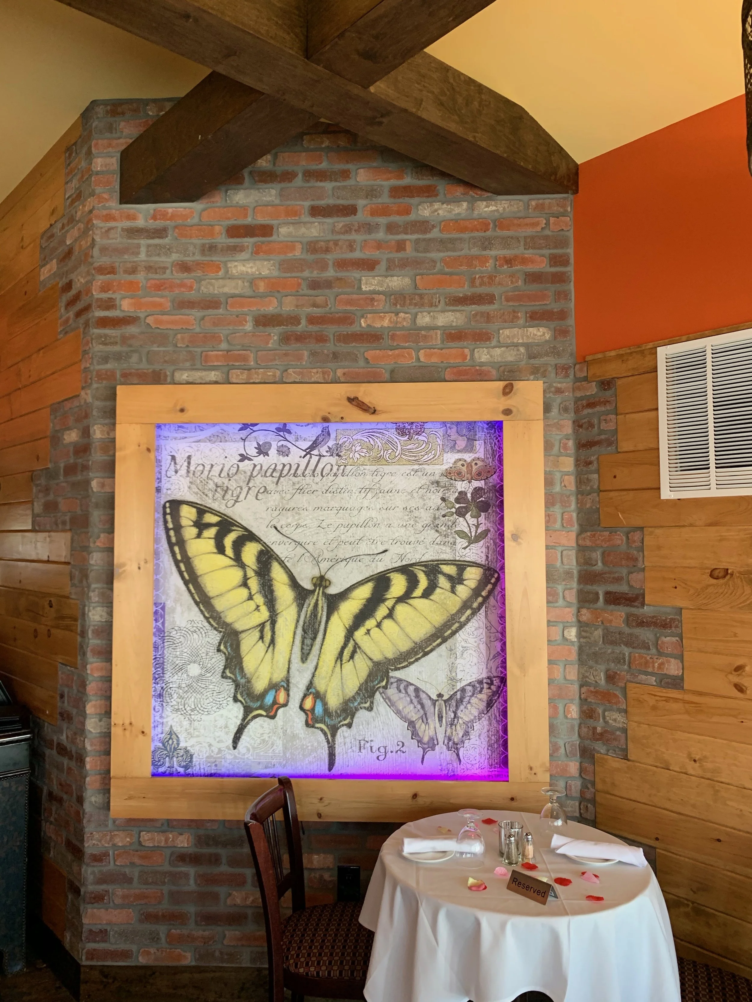 A butterfly mural