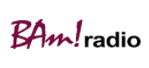 Safety Expert Opinions on BAM Radio
