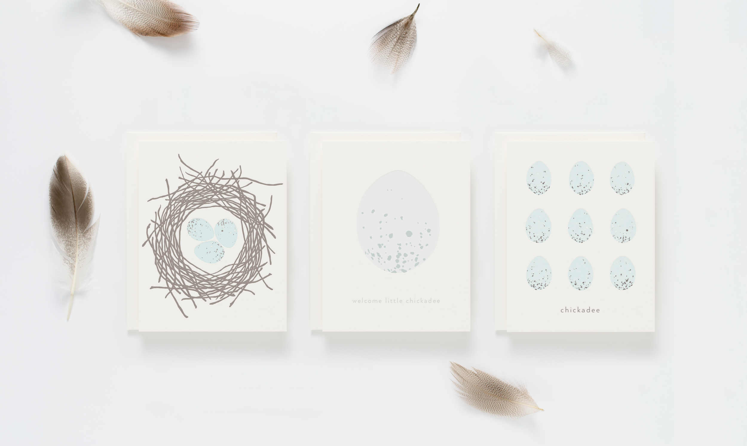BWP_nested and eggs.png