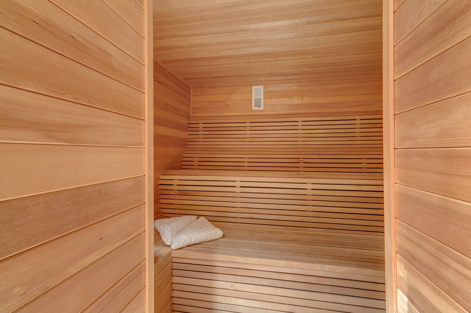 24-Sauna in basement.jpg