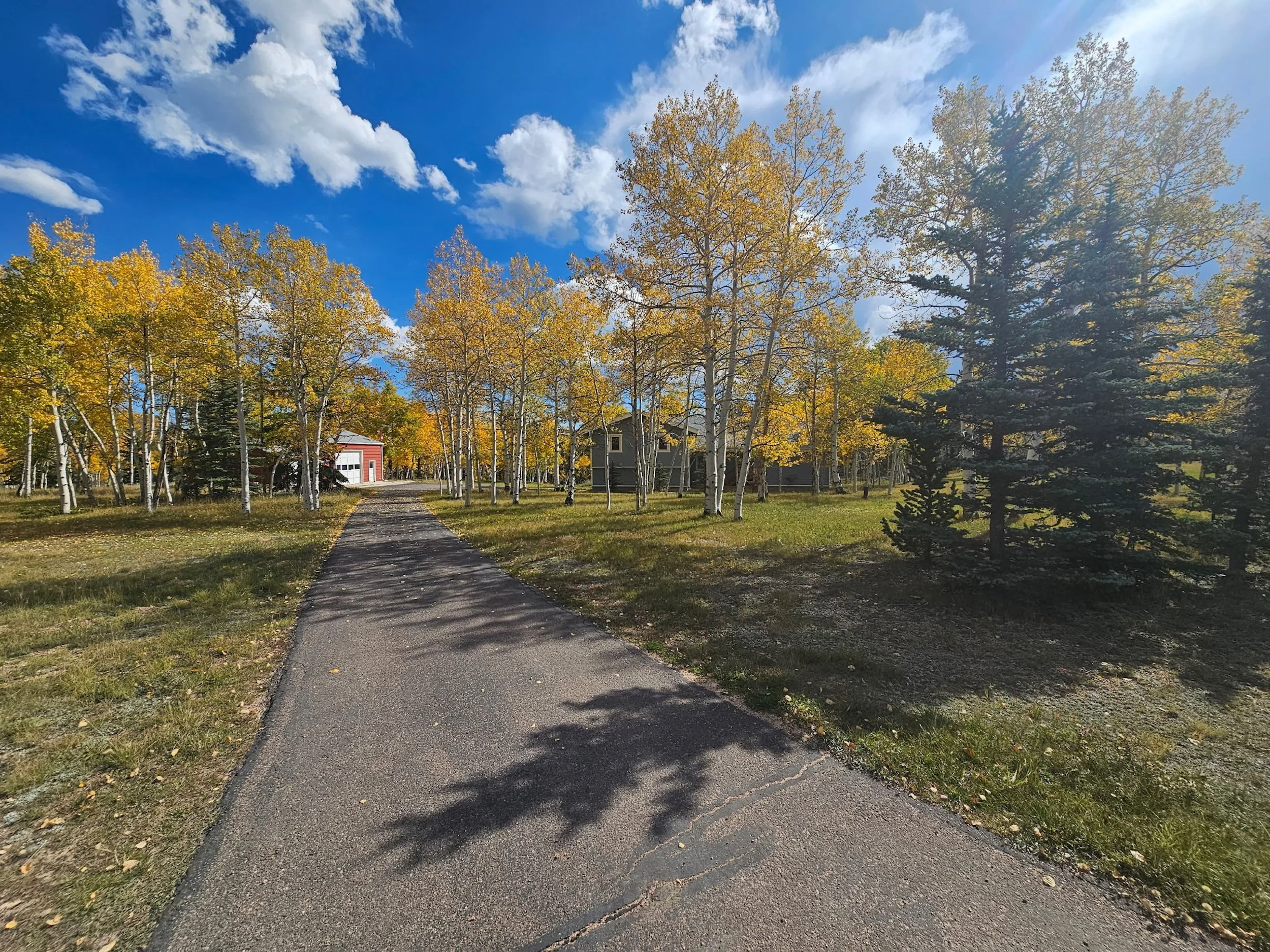2-Driveway approach to home.JPG