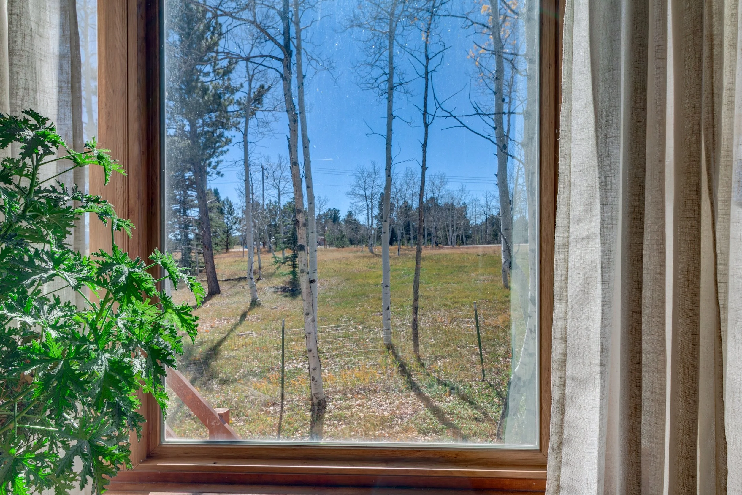 10-View from LR window.jpg