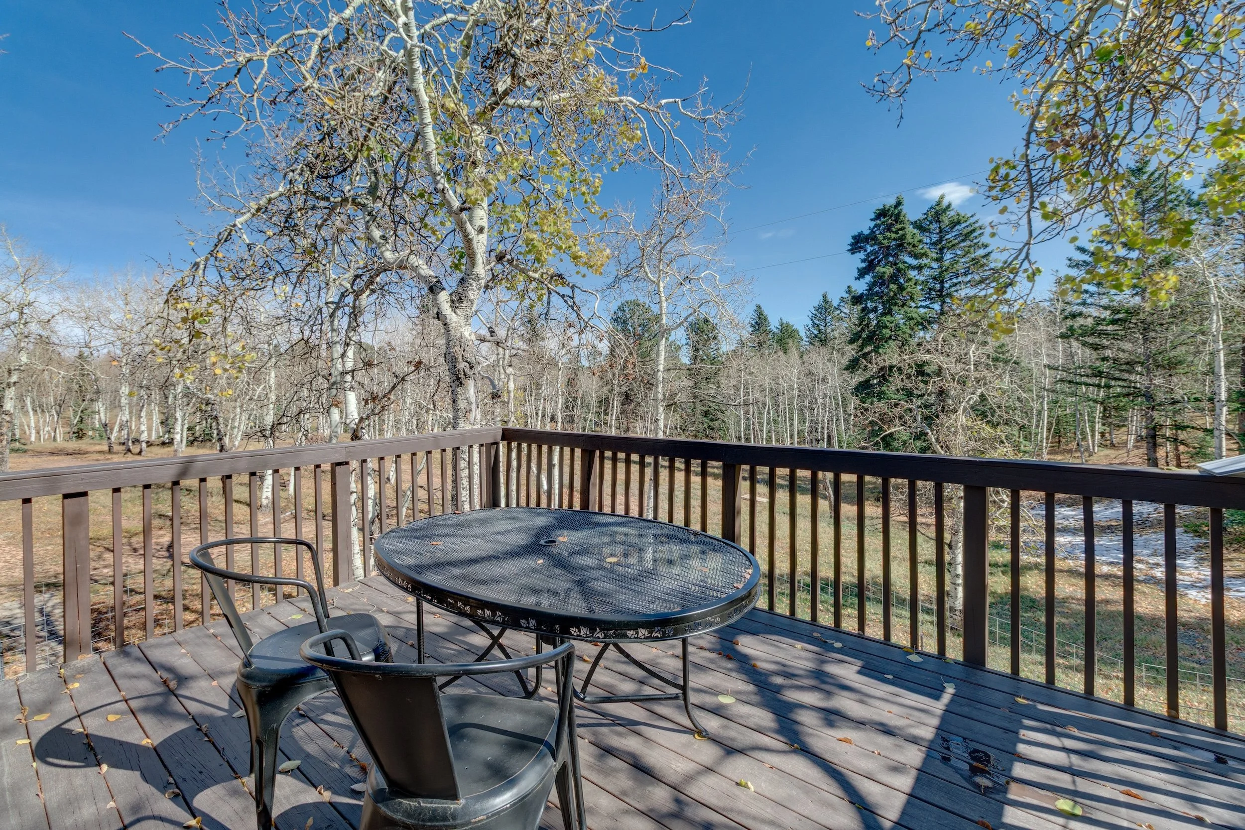 16-Deck off of hearth room.jpg