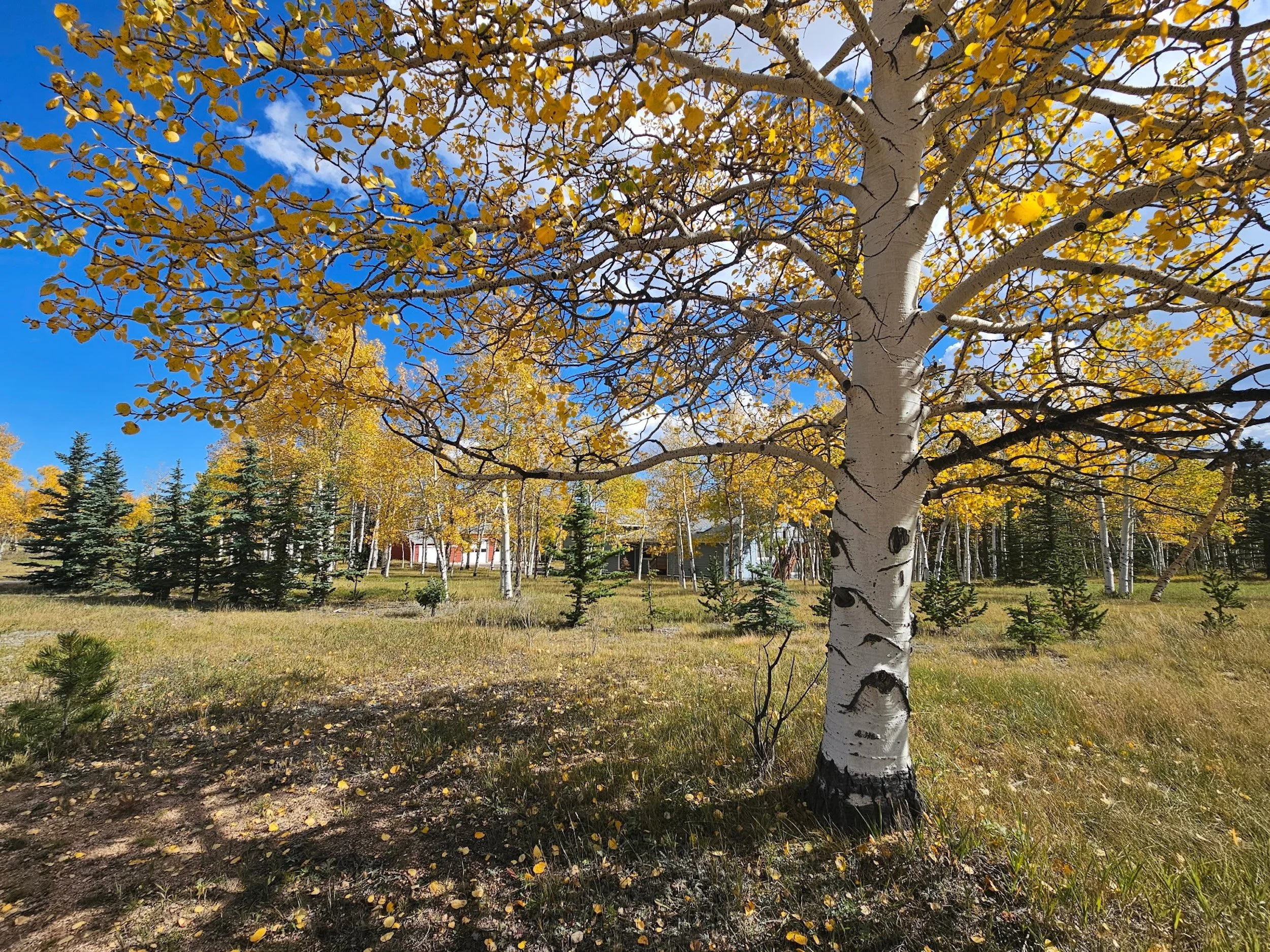 36-Beautiful land.JPG