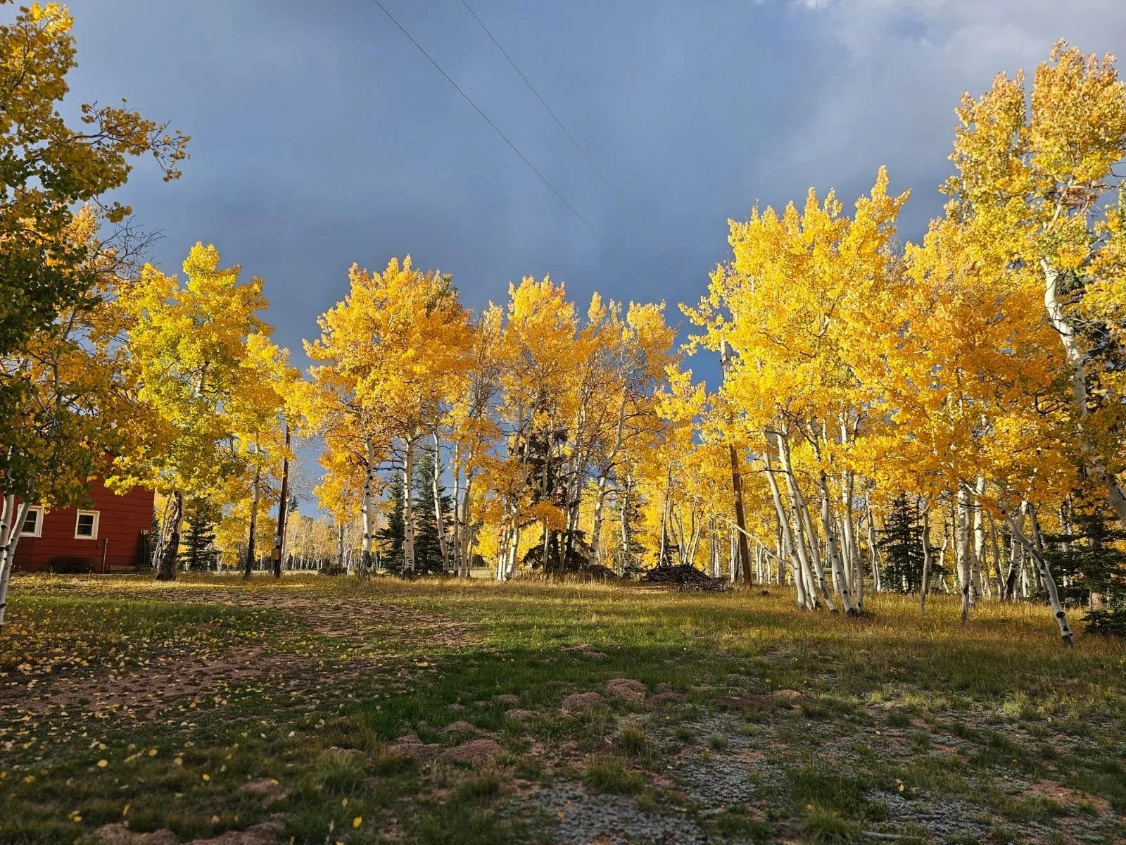 38-Beautiful land 2.JPEG