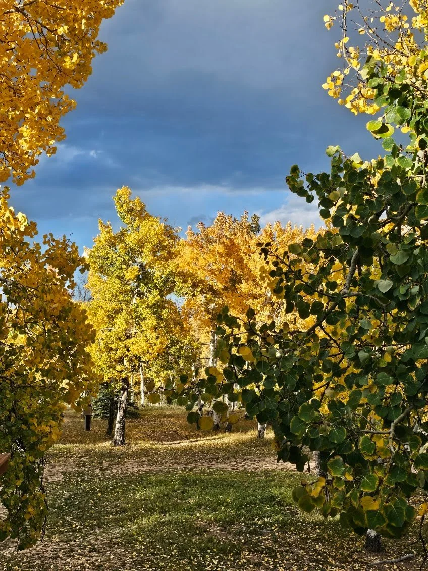40-Aspen Grove.JPEG