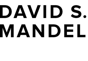 David S. Mandel