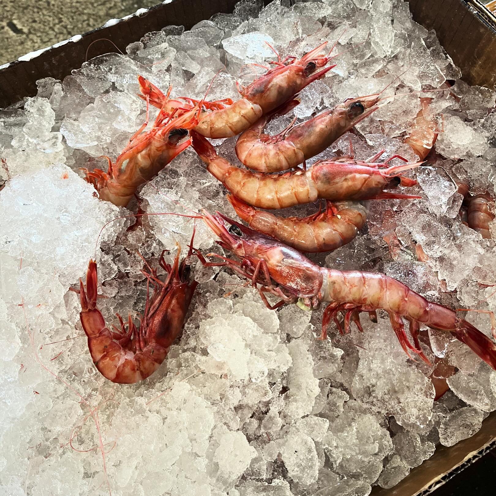 Montauk Red Shrimp on the menu tonight! 🦐
And yes, they are actually local shrimp! 

#stonecreekinn #redshrimp #localseafood #eastquogue #hamptons #hamptonsrestaurants #longislandrestaurants