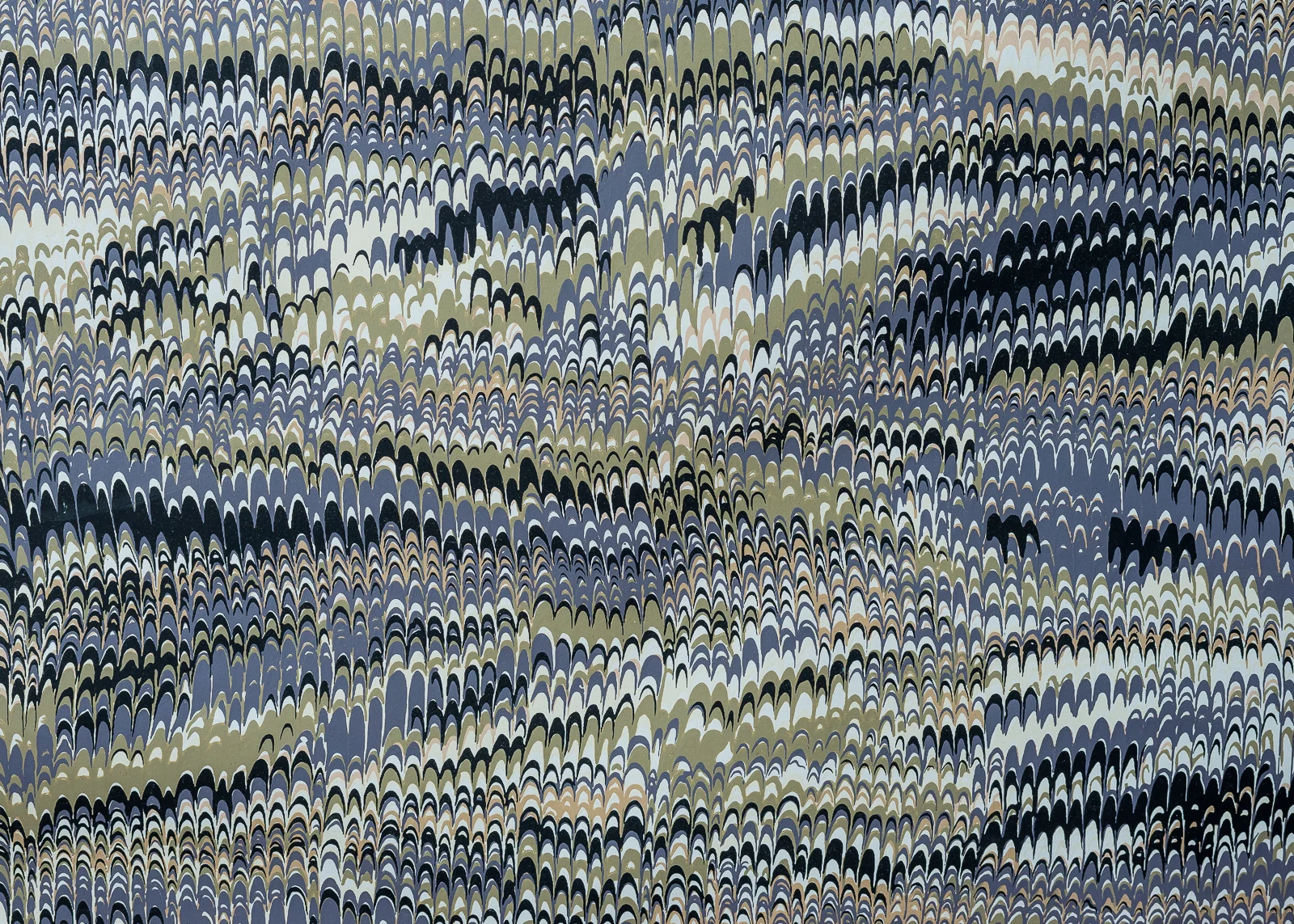 _MJB5344.jpg