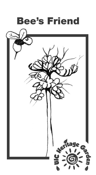 Bee's Friend Illustration