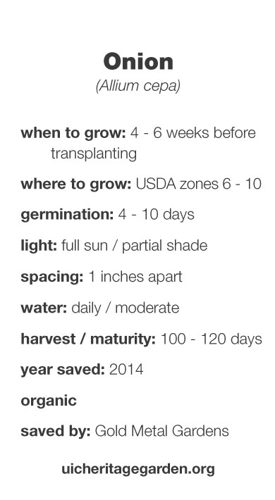 Onion growing information